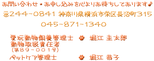 横浜鎌倉のペットシッター「まとぅか～」連絡先