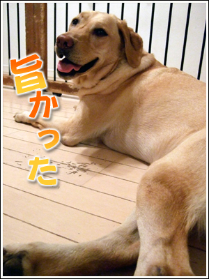 旨かった犬