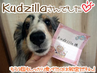 Ｋｕｄｚｉｌｌａさんでした！